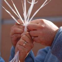 IES ALGUADAIRA (@iesalguadaira) 's Twitter Profile Photo