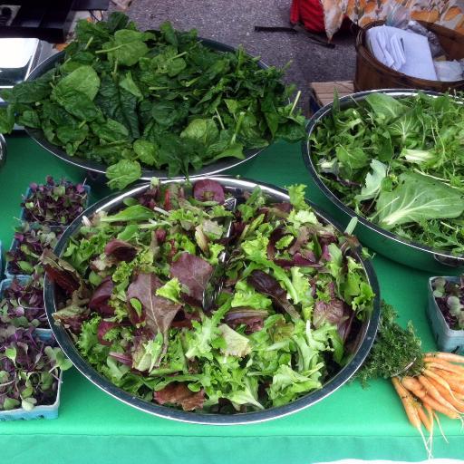 ECO City Farms Profile