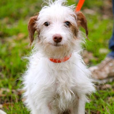 salpicalo's profile picture. Retired..... Race Fan ........