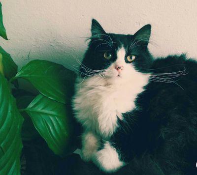 jabar12310's profile picture. I love that pulls threads and raises