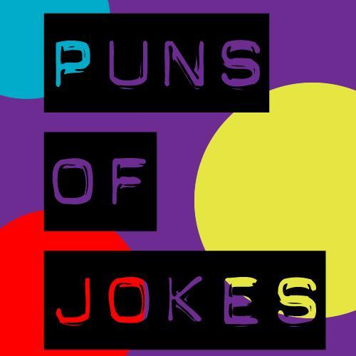 Puns of Jokes