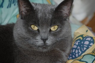 marybeth494's profile picture. Owner of @toadhollownj and one of The Aunts