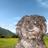 anamariaestrada's profile image