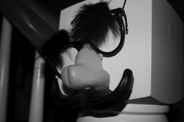 geeRADs's profile picture. have fun and stay stoked on life always Follow Instagram: @waveslideculture