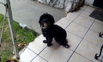 Jackson27545685's profile picture. I'm the bestest person EVER!!