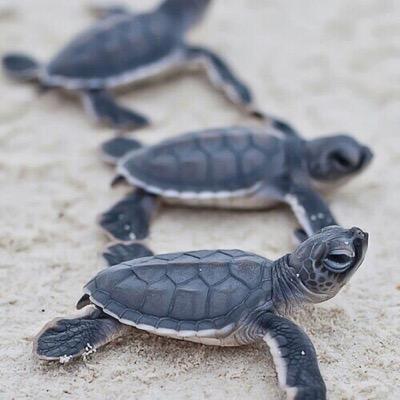 EstherPaxton's profile picture. Younique. Making the world sexier one lash at a time