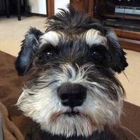 チュラアタ@DF61 7/5(土)感謝感激御礼 (@chullata) 's Twitter Profile Photo チュラアタ@DF61 7/5(土)感謝感激御礼 (@chullata) 's Twitter Profile Photo