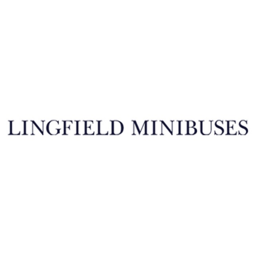 At Lingfield Minibuses, we can provide comfortable transport to take your group to their day out destination.