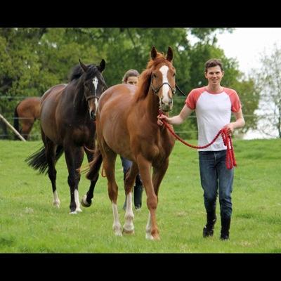 Novice Hurdler! First season: 2 x First, 1 x Second, 2 x Fourth. We will forget second season. 3rd raring to go!!! My mummy owner runs my account.