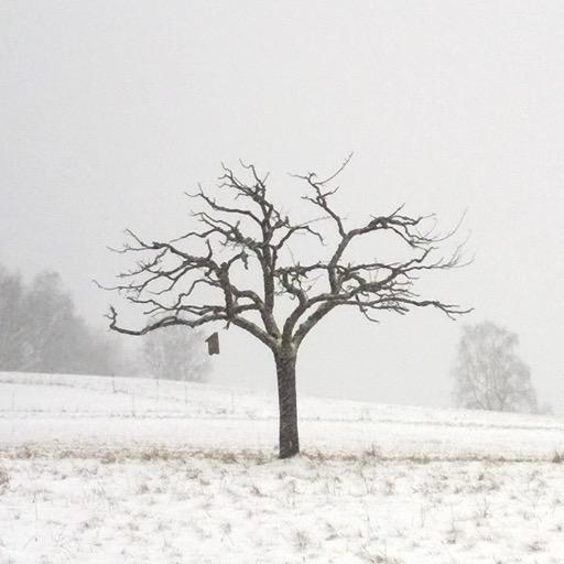 reldeisnoi's profile picture. mostly just reading tweets to stay informed.