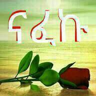 jemalabdu16's profile picture. 