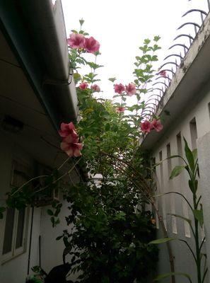 DAbiramie's profile picture. 