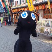 けんた (@mshrkt) 's Twitter Profile