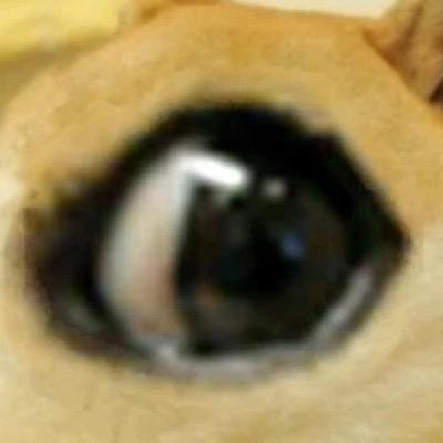 rachal_sean's profile picture. 