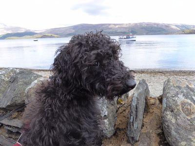 Zzzzz47A's profile picture. 🏴󠁧󠁢󠁳󠁣󠁴󠁿🇬🇧 and staying that way!!
MS- living day by day🧑‍🦽