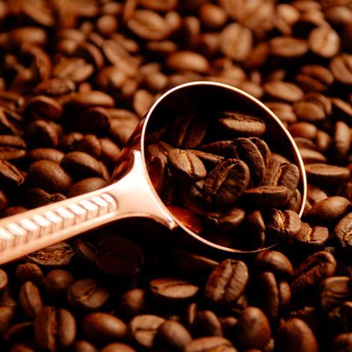 coffeeprogram's profile picture. 