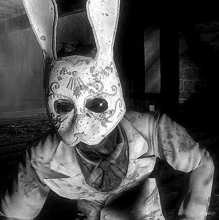 Vivifyd's profile picture. Photographer, Video Gamer, Paintballer