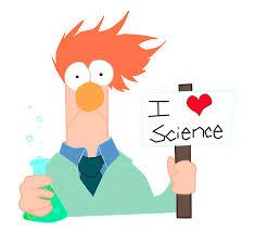 Everything you could possibly need to help you enjoy and succeed in your Science studies at BBMS #modelscience