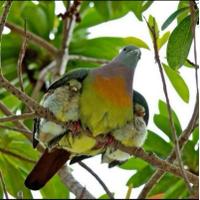 أبو عبدالعزيز (@aaj1970) Twitter profile photo