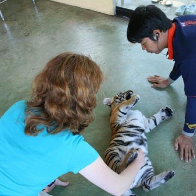 Figmentrose's profile picture. 