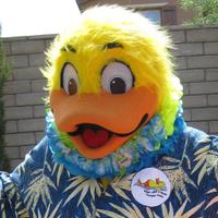 Duckie Paragon Pools(@Duckieparagon) 's Twitter Profile Photo
