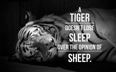 A tiger doesn't lose sleep over opinion of sheep.
[Fuerza-Dignidad-Humildad-Tenaz-Entusiasmo-Persistencia-Templanza-Diligencia-Integridad]