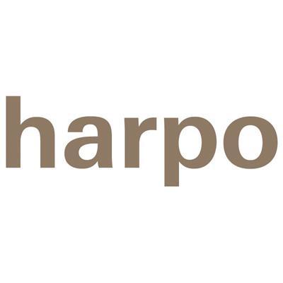 The Harpo Foundation was established in 2006 to support emerging visual artists.