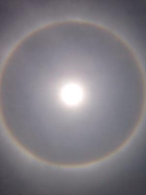 evelynadrian86's profile picture. 