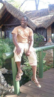 HarryNgure's profile picture. 