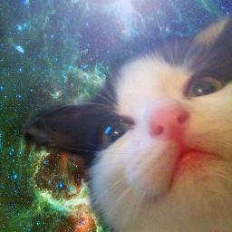 TrueStoryBot's profile picture. 世界の真実を伝えるアカウント