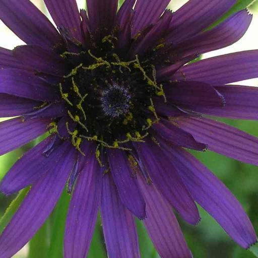 AndreasKlumpp's profile picture. archaeologist and historian, historic cooking, experimental archaeology

Archäologe und Historiker, historische Küche, Experimentelle Archäologie