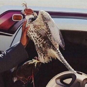 يا رب لا تجعل حاجتي عند غيرك، ولا تبين ضعفي وقلة حيلتي لأحدٍ سواك ..
المفضله_لي
وأستغفرالله العظيم وأتوب إليه ❤️'