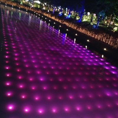 Cambiasso_ode's profile picture. 中島中→加納1-4→2-5→3-8