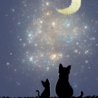 effor0628's profile picture. 高3 受験生＊自称進学校＊＊周りの空気に呑まれやすい単純人間 無言フォローごめんなさい(´Д` )