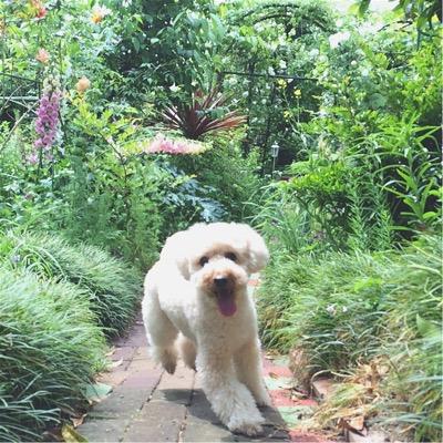 mkireu's profile picture. 写真を撮るのが好き♪/film派/デジでも撮ります 日常の景色、カフェなんかを切り撮ってます。 国内外問わず旅・カフェ巡りが好き＊青と黄色の小鳥さんとクリーム色のたぬきちゃんと毎日ぽんやり過ごしています。