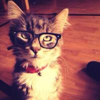 にゃーたすお兄さん (@nyaa_tasu) Twitter profile photo