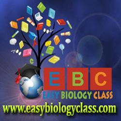 easybiologyclas's profile picture. Teacher