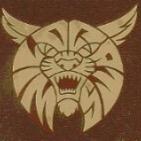 WHS_STEEL's profile picture. 