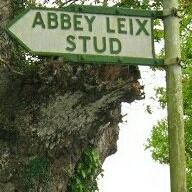 Abbeyleix stud (@abbeystudfarm) 's Twitter Profile