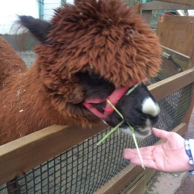 yoshidayamada12's profile picture. 