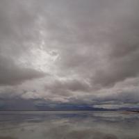 Jim (@jimmorrison0202) 's Twitter Profile