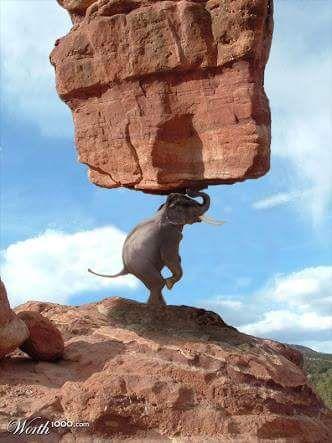 MoneyIsJustTool's profile picture. 