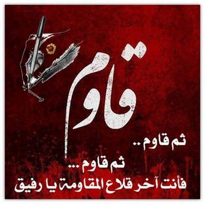 mohamed8300's profile picture. 