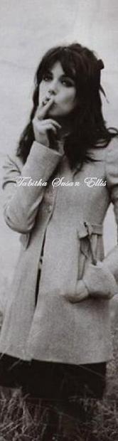 isapenguin979's profile picture. 