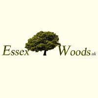 Essex Woods(@EssexWoods) 's Twitter Profileg