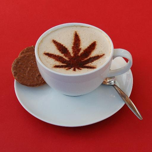 #Amsterdam Coffeeshops Rated - Come here to rate all the great coffeeshops under our microscope. Facebook: https://t.co/JjRl8FDUH4