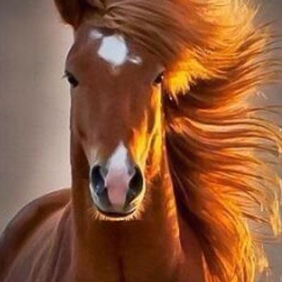 وطني عيني اليمين ومليكي عيني اليسار