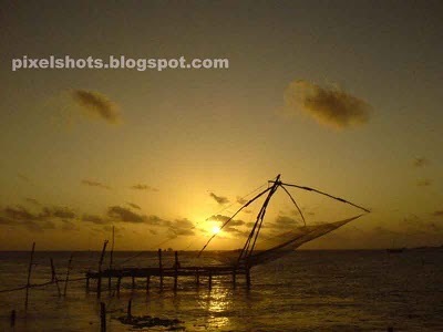 A gallery of kerala's nature and events