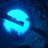 scubadiveLR's profile image