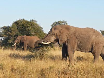 fuzzim's profile picture. 7 continents done and dusted.